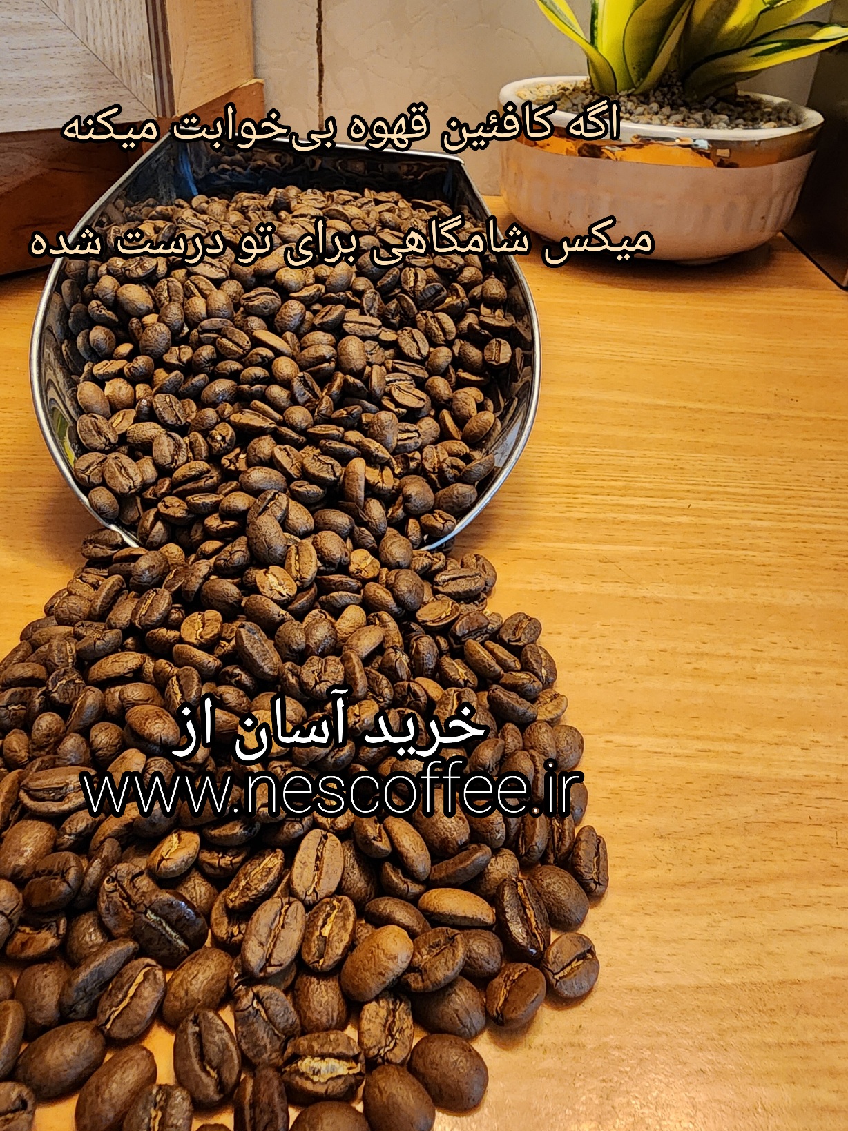 قهوه ۹۰ درصد عربیکای پایتخت